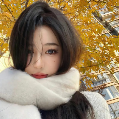 朝鲜精神科医师刘世丰第二季