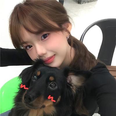 寅次郎的故事20：加油啊！寅次郎